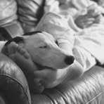 Fee Leach - Facebook