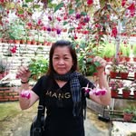 Fionaleong2701 - @fionaleong2701 - Instagram