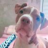 fiona_lindona - @eufionalindonagmail.com - TikTok
