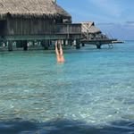 Fiona Lowe - @filowe - Instagram