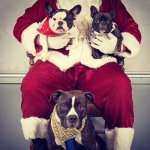 Fiona, Lukey, & Ruby June - @fiona_lukey_and_rubyjune - Instagram
