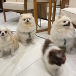 LUKE, ZYZZ, CUSCO & FIONA - @luke.zyzz.cusco.fiona - Instagram
