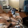fionalynn125 - @fionalynn125 - TikTok