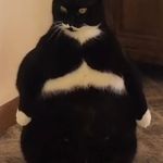Fiona Macfarlane - @honeybeebzzz - Instagram