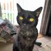 Fiona Macfarlane - Facebook