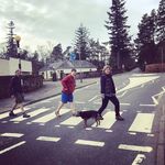 Fiona Macfarlane - @fmacfarlane - Instagram