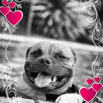 Fiona Mann - Facebook