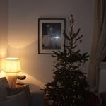 Fiona Manning - @manning.fiona - Instagram