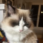 Fiona Mao - Facebook