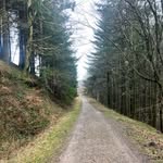 Fiona Marshall - @fiona.i365 - Instagram