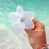 Fifi.beachy🏄‍♀️☀️ - @fionamason811 - TikTok