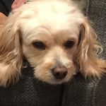 Fiona Mason - @fionamason000 - Instagram