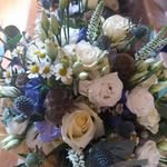 Fiona Mason - @fiona.helen.mason - Instagram