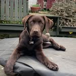 Fiona Maxwell - @fiona.maxwell.984 - Instagram