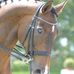 Fiona Maynard - Facebook