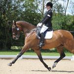 Fiona Maynard - @fiona.maynard.dressage - Instagram