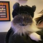 Fiona McDowell - @fionamcflossy - Instagram