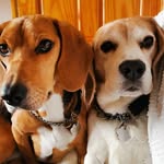 Fiona McDowell - @mcdowellfiona - Instagram