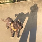Fiona mcewan - @caleyscottishfi - Instagram