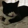 fionamcewan6 - @fionamcewan6 - TikTok