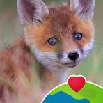 Fiona Mcgrath - Facebook