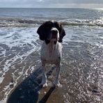Fiona McGrath - Facebook