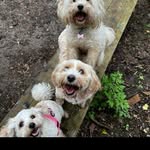 Fiona Mckinnon - @mckinnonfiona - Instagram