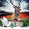 mckinnondalfiona - @mckinnondalfiona - TikTok