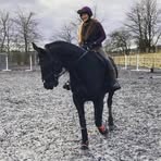 Fiona McWilliam - Facebook
