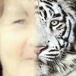 Fiona Mcwilliams - @mcwilliamsfiona - Instagram