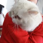 Fiona _ meadows - @fiona_meadows - Instagram