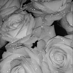 Fiona Meyer - Facebook
