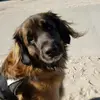 Fiona Meyer - @fionameyer21 - TikTok