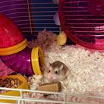 Fiona Michael - @fiona.michael.bhl - Instagram