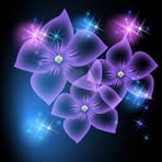 Fiona Miranda - Facebook