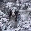 Fiona Mitchell - @fiona.mitchell19 - TikTok
