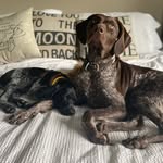 Fiona & Mora - @fiona_n_mora - Instagram