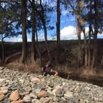 Fiona Morse - @fgmorse - Instagram