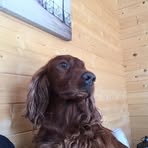Fiona Muir - Facebook