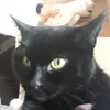 fionamuir100 - @fionamuir100 - TikTok