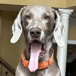 Fiona Nagle - @fiona_bagel_ - Instagram