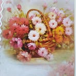 Fiona Nagy - Facebook