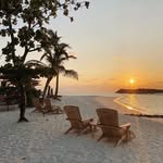 Fiona Nash - @bele.e496lrq - Instagram