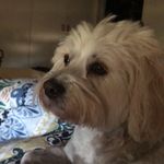 Fiona Membrey-Neilson - @membreyneilson - Instagram