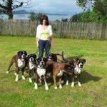 Fiona Neilson - @fineilson - Instagram