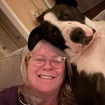 Fiona Neilson - @neilson_home - Instagram