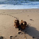 Fiona Neilson - @fiona_neilson - Instagram