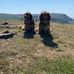 Fiona Neilson - Facebook