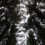 Fiona Neilson - @fpneilson - Instagram