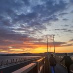 Fiona Newton - Facebook